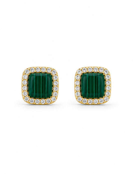 Puce d’oreille Jade