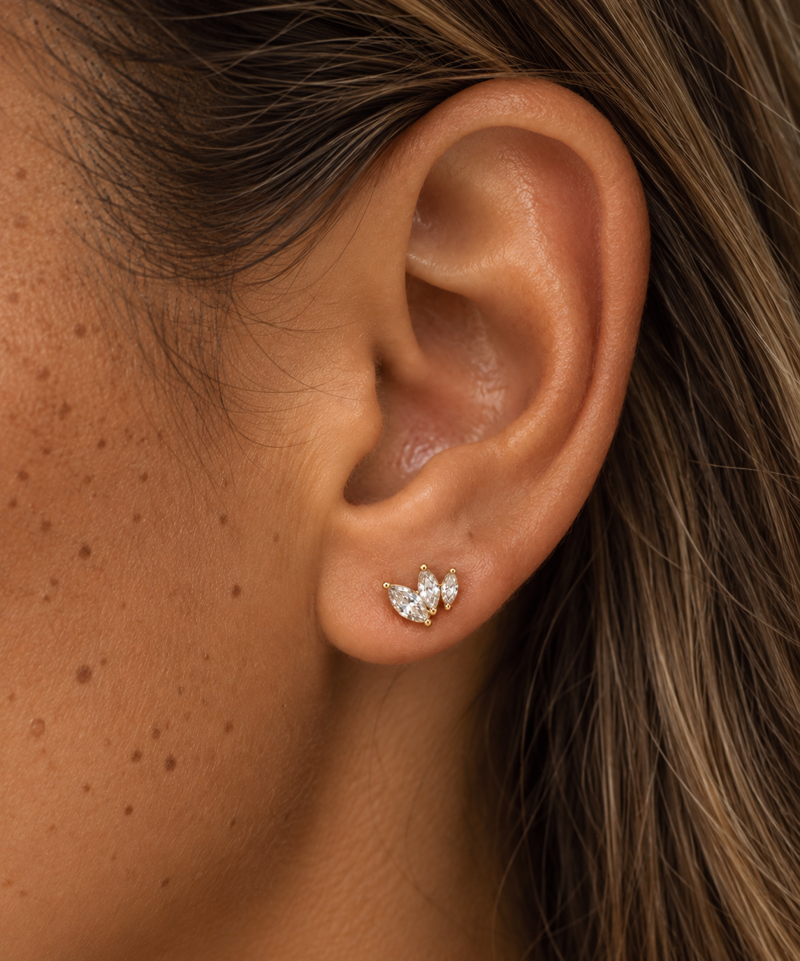 Puces d’oreilles Céleste