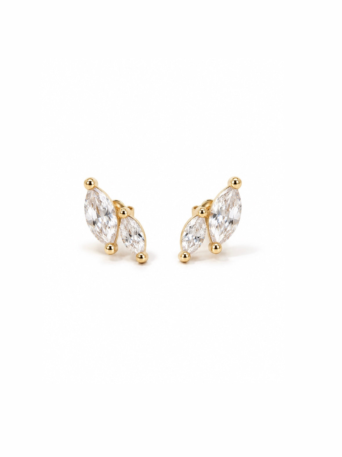 Puce d’oreilles Lili