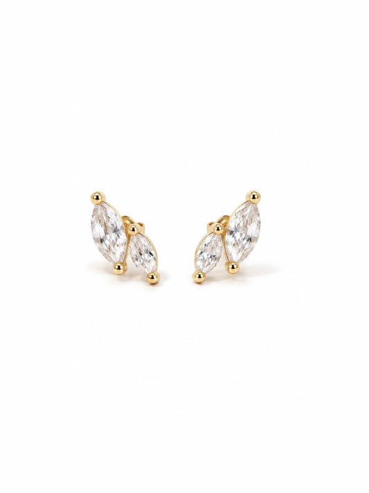 Puce d’oreilles Lili
