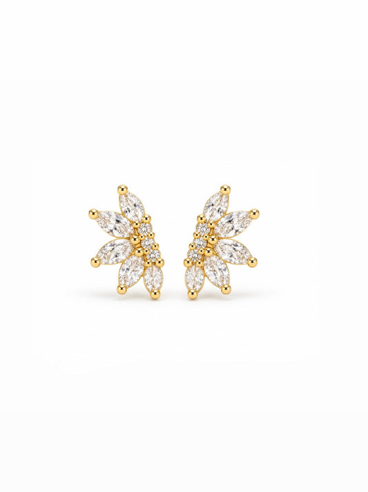 Puces d’oreilles Étoile