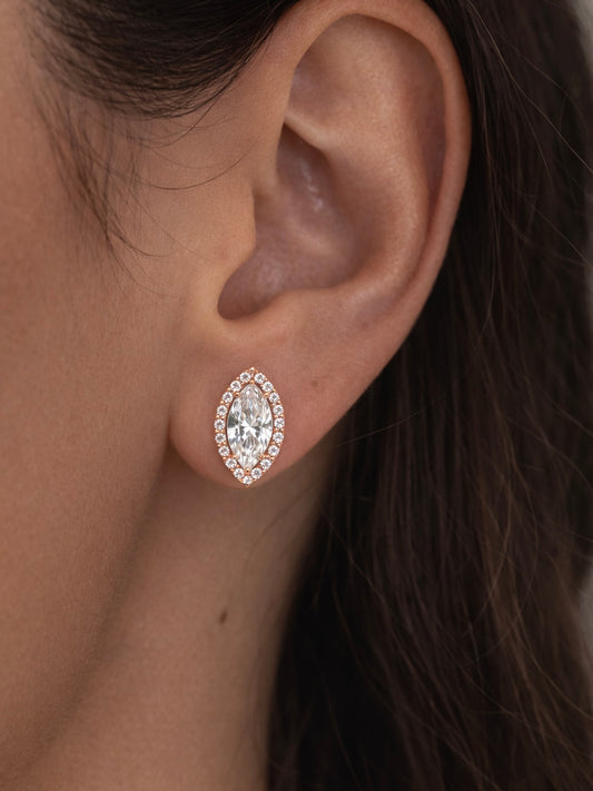 Puces d’oreilles Maréva