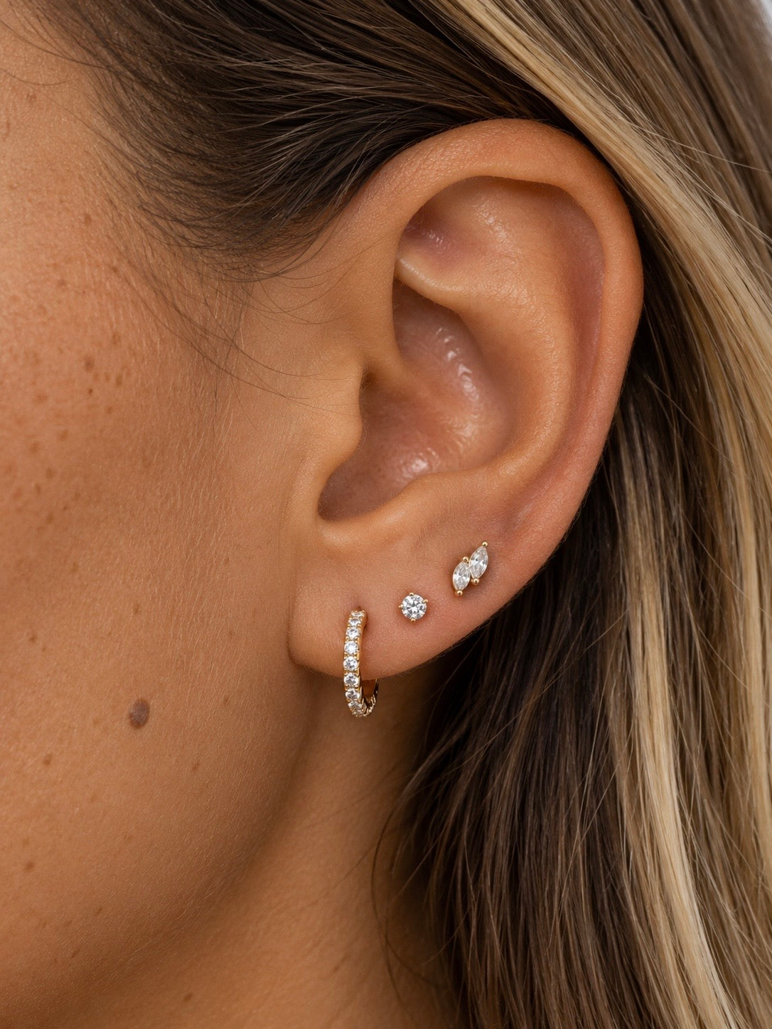 Puce d’oreilles Lili