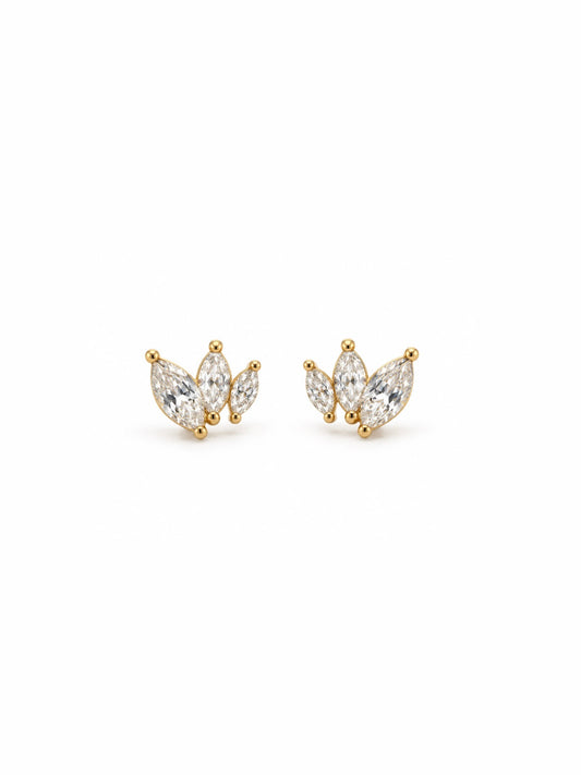 Puces d’oreilles Céleste