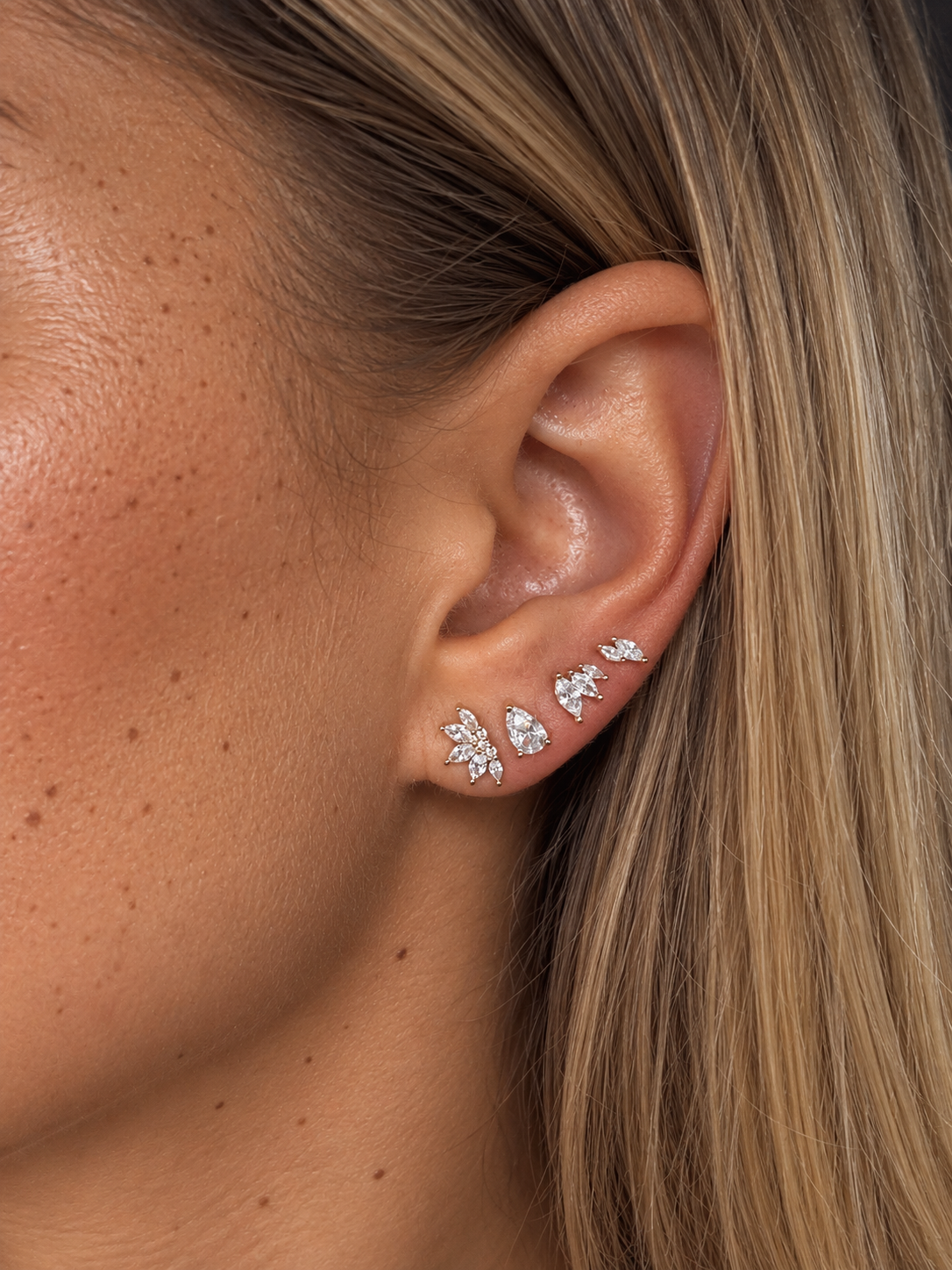 Puce d’oreilles Lili