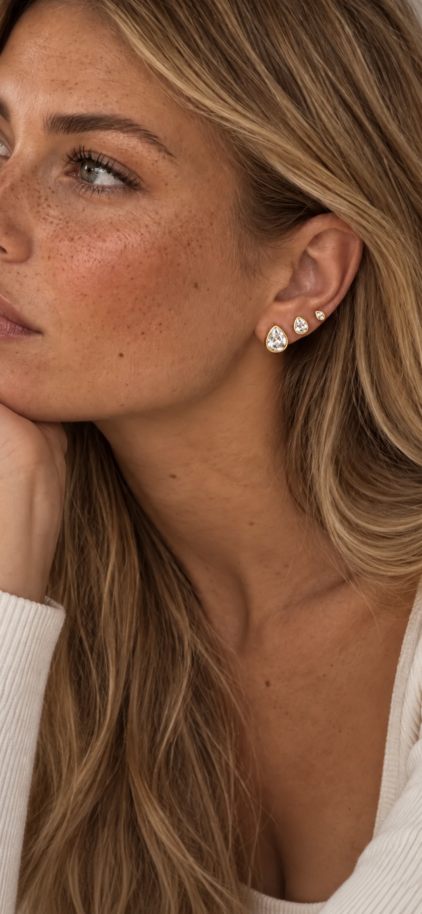 Puces d’oreilles Évidence